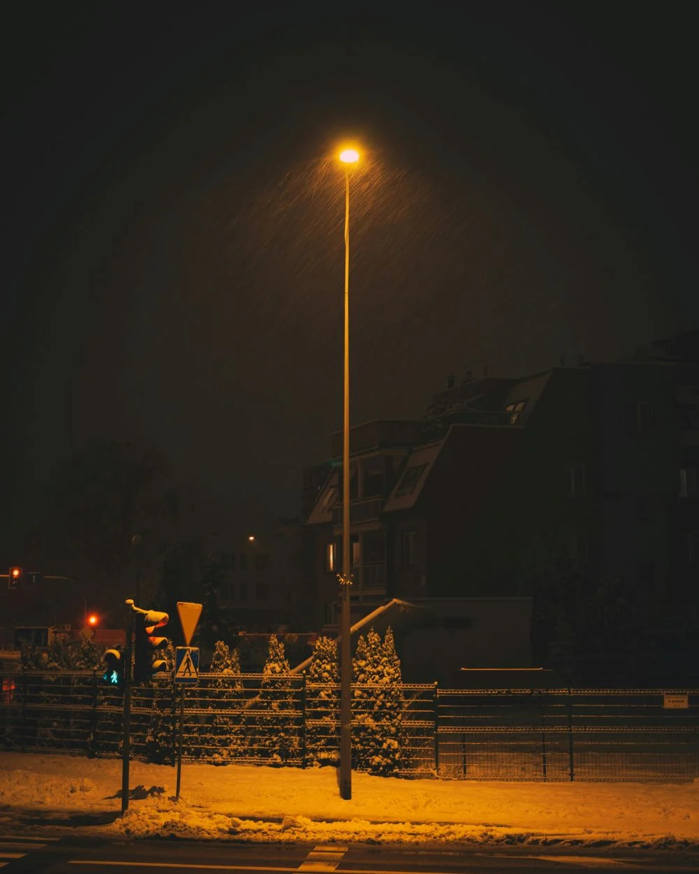 Mateusz Butkiewicz Mg O9v3co5q Unsplash 1
