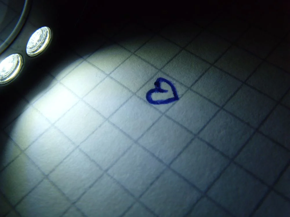 251023 身心障礙 戀愛