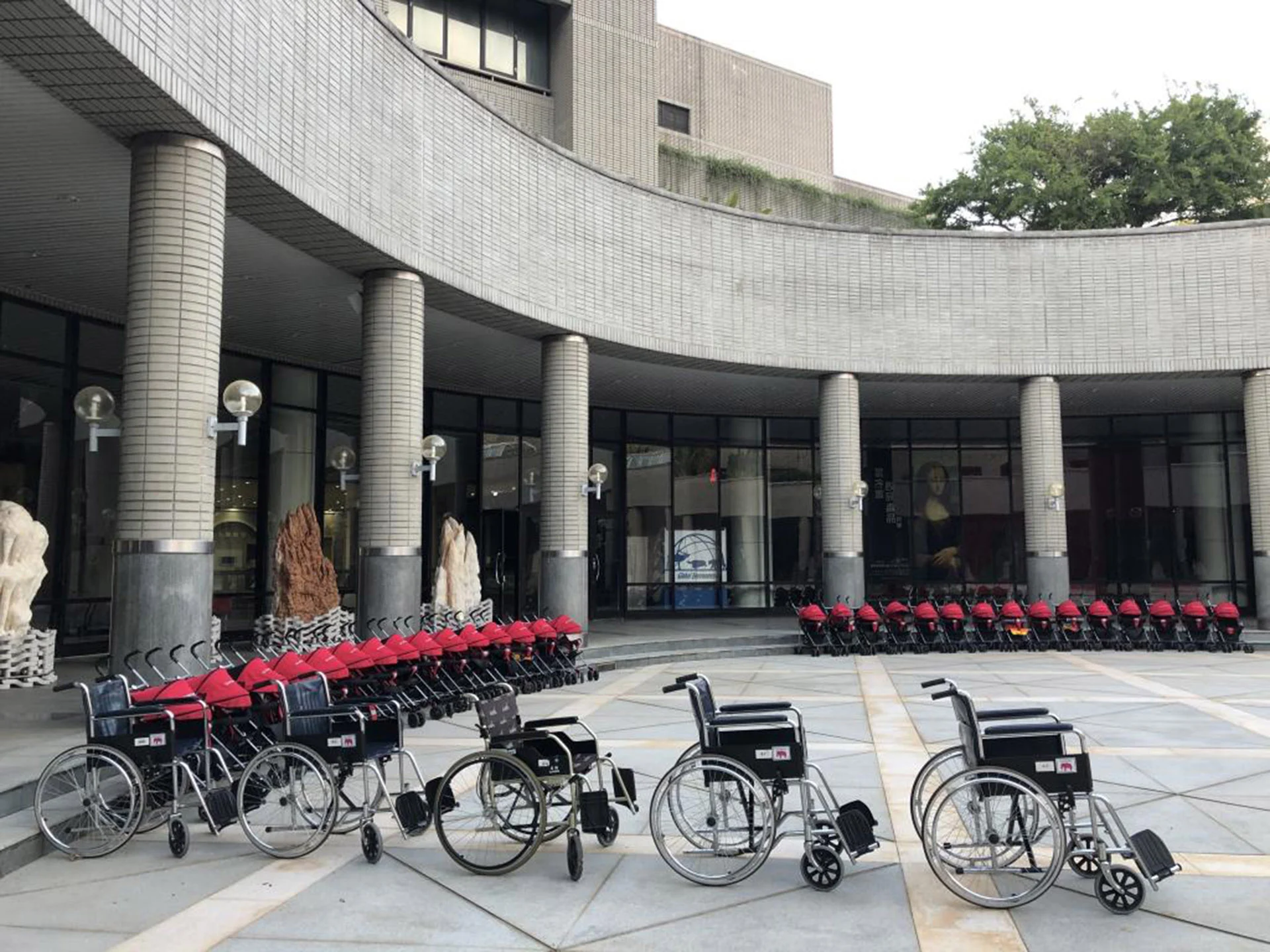 251113 身障女性 就業 工作