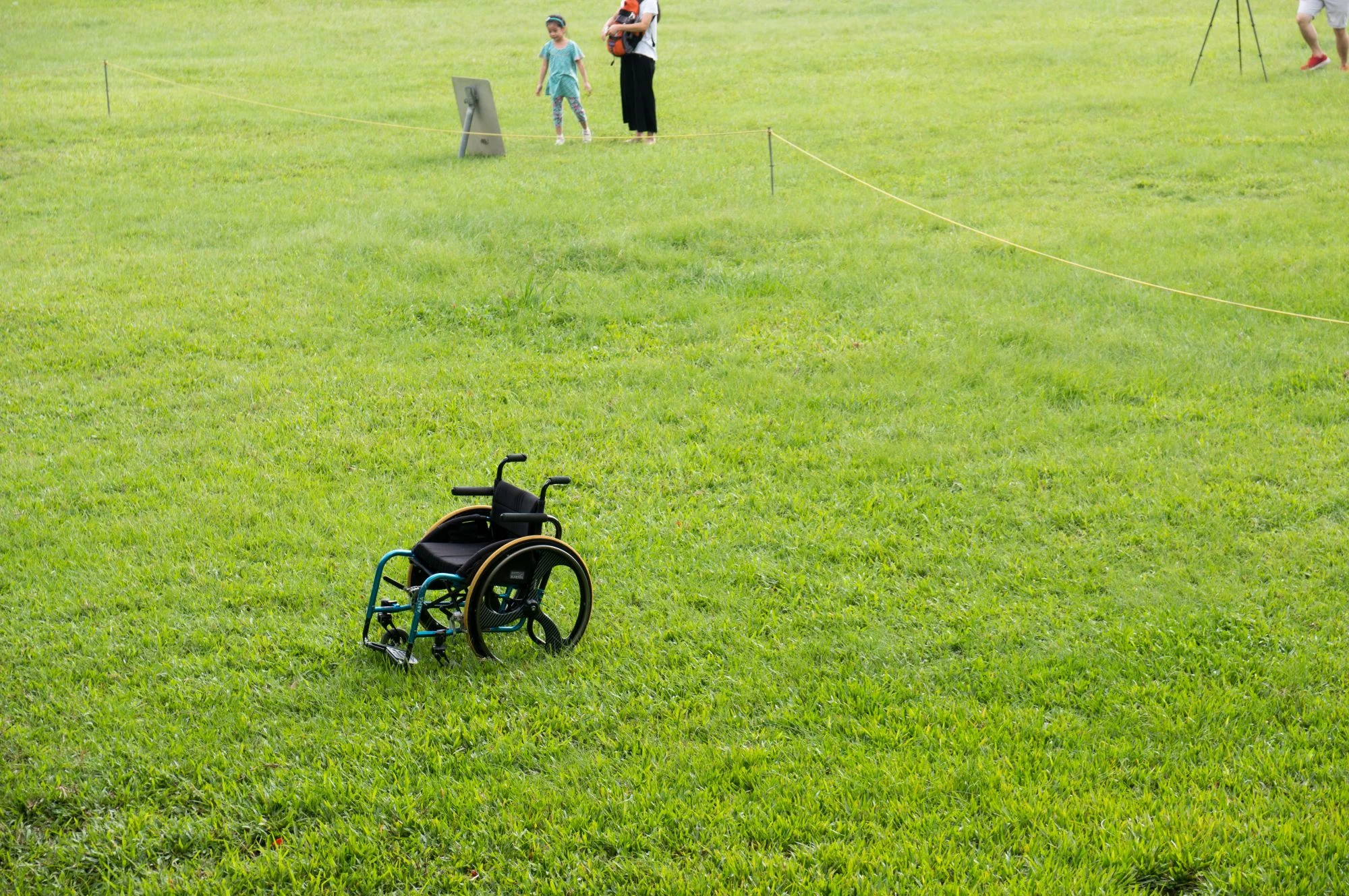 251204 長照悲劇 減刑 障礙者