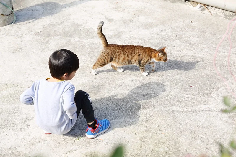 251215 善週報 人工生殖 試管