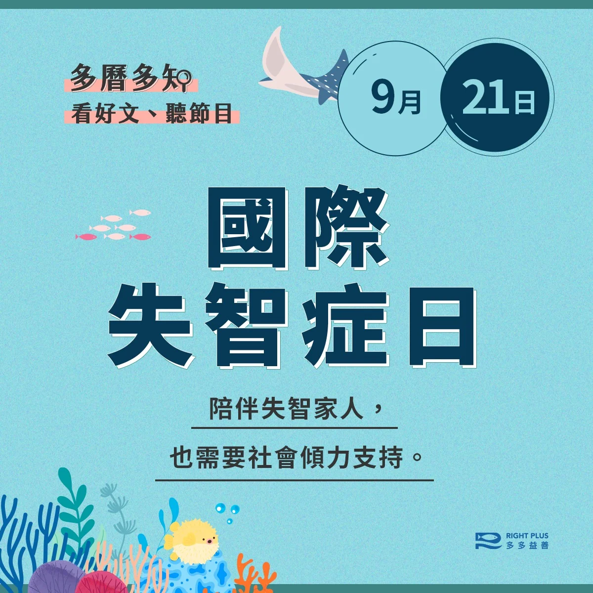 多曆多知 3
