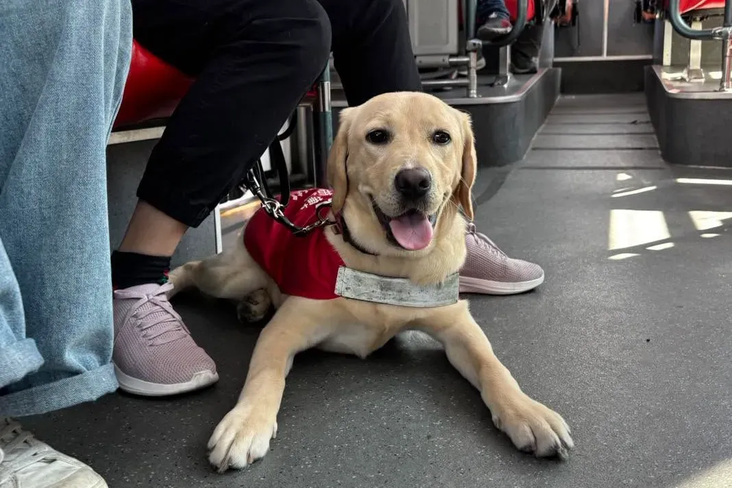 260715 導盲犬 惠光 監院報告